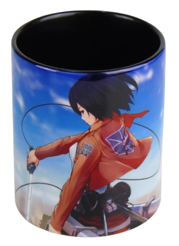 mikasa czarny