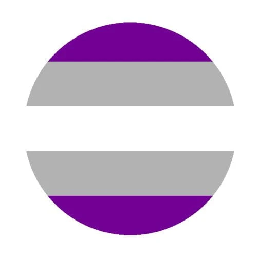 gray asexual przypinka flaga LGBT