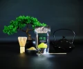 matcha kompozycja