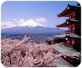 góra fuji i sakura
