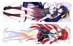 Zakładka High School DxD