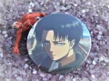 przypinka snk levi