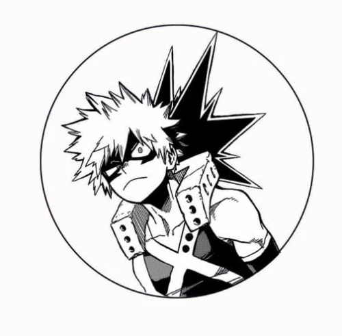 bnha bakugou