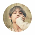 bts v