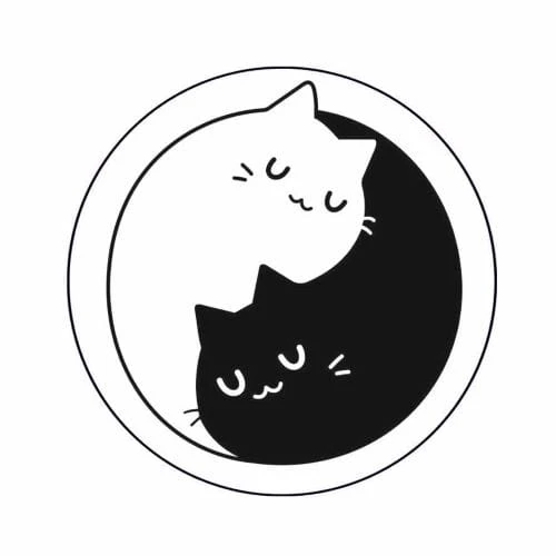 yin yang koty