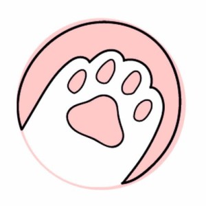 Przypinka Kocia Łapka