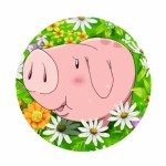 Przypinka Nanatsu no Taizai Hawk