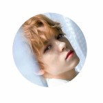 Przypinka Seventeen Vernon