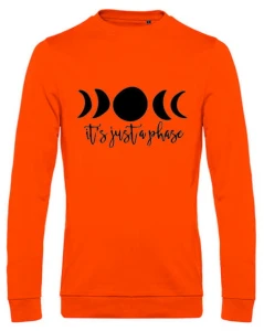 It's Just a Phase bluza
