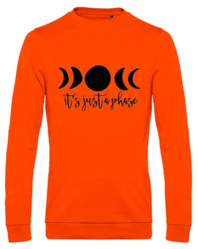 it's just a phase bluza