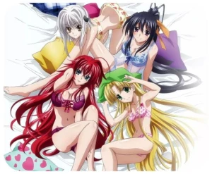 High School DxD podkładka pod mysz