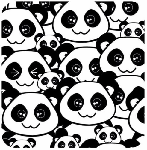 pandy