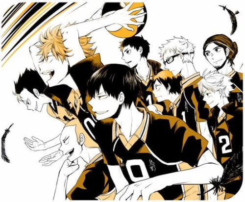 haikyuu podkładka.jpg