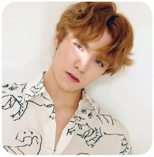 seventeen vernon podkładka