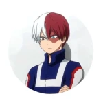 Magnes Boku no Hero Academia Todoroki 2