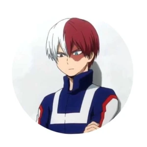 Magnes Boku no Hero Academia Todoroki 2