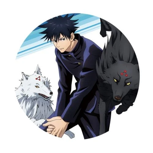 jujutsu kaisen megumi