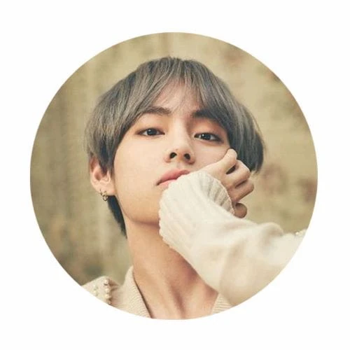 bts v