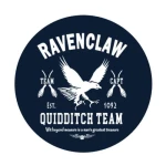Przypinka Harry Potter Ravenclaw 1