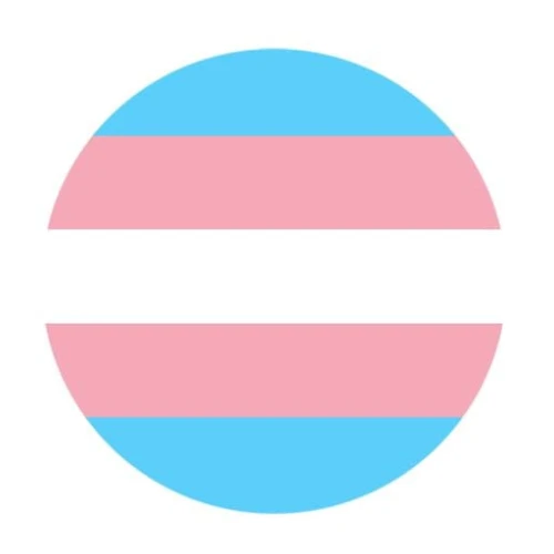 trans flag