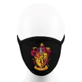 harry potter gryffindor maska