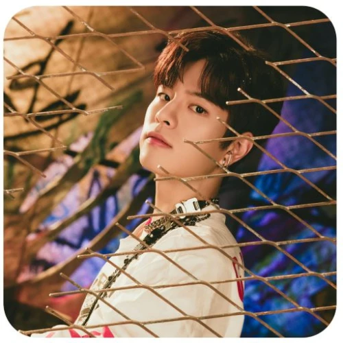 stray kids seungmin