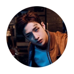 Magnes Stray Kids Bang Chan