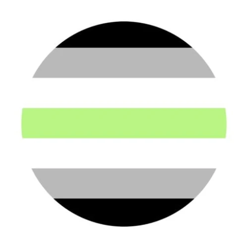 agender flag przypinka