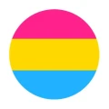 pansexual flaga