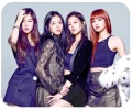blackpink podkładka