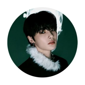 Przypinka Stray Kids I.N 2