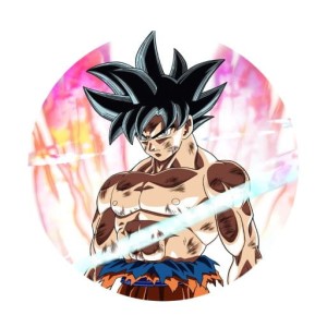 Magnes Dragon Ball Goku