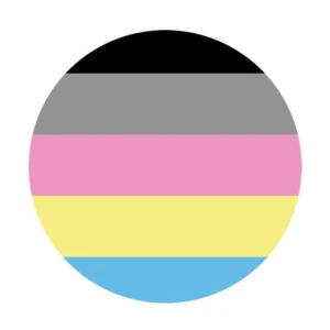 Przypinka Polygender