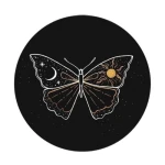 Przypinka Motyl